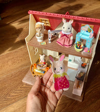 Load image into Gallery viewer, Not Picasso Strawbunny Hair Claw