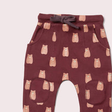 Load image into Gallery viewer, Little Green Radicals Brown Bears Comfy Joggers