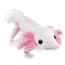 Laden Sie das Bild in den Galerie-Viewer, Folkmanis Axolotl Handpuppe