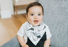 Load image into Gallery viewer, Copper Pearl Bandana Bibs 4-Pack Kai