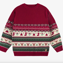 Load image into Gallery viewer, Souris Mini Knit Sweater with Colorful Holiday Pattern Size 9-12m