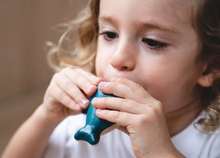 Load image into Gallery viewer, Plan Toys Whale Whistle