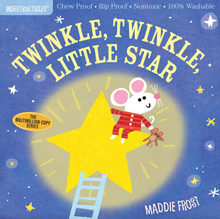 Load image into Gallery viewer, Indestructibles Twinkle, Twinkle Little Star Book