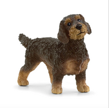 Load image into Gallery viewer, Schleich Wire Haired Dachshund