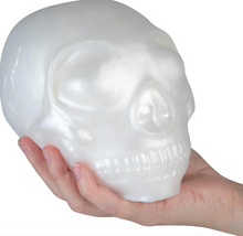 Laden Sie das Bild in den Galerie-Viewer, ORB Easy Sqweezy Jumbo Skull