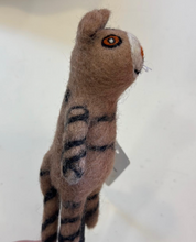 Load image into Gallery viewer, The Winding Road Orange And Brown Cat