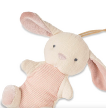Load image into Gallery viewer, Itzy Ritzy Bitzy Pal Bunny