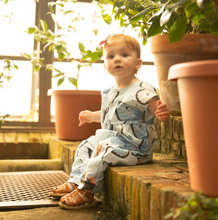 Load image into Gallery viewer, Pink Chicken Baby Girls Alexandra Jumper Blue Vintage Butterflies