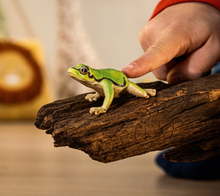 Load image into Gallery viewer, Schleich European Tree Frog