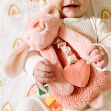 Laden Sie das Bild in den Galerie-Viewer, Itzy Ritzy Itzy Friends Lovey™ Plush