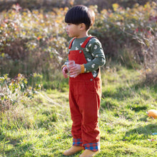 Load image into Gallery viewer, Little Green Radicals Olive Ducks Long-Sleeve Tee