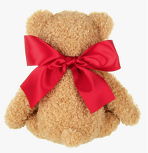 Load image into Gallery viewer, Harry Heartstrings The Teddy Bear
