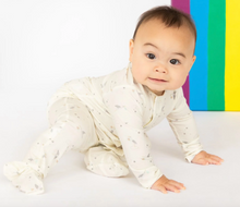 Load image into Gallery viewer, Magnetic Me Beary Special Delivery Modal Magnetic Footie