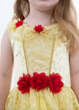 Load image into Gallery viewer, Little Adventures Yellow Beauty Party Dress