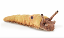 Load image into Gallery viewer, Folkmanis Mini Banana Slug