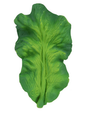 Load image into Gallery viewer, Oli & Carol Kendall The Kale