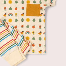 Load image into Gallery viewer, Little Green Radicals Vintage Rainbows Organic T Shirt &amp; Jogger Playset

