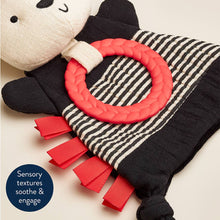 Load image into Gallery viewer, Itzy Ritzy Panda Bitzy Crinkle
