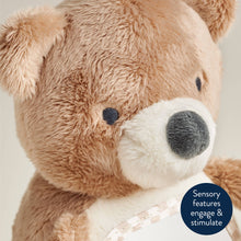 Load image into Gallery viewer, Itzy Ritzy Theo The Bear -Itzy Bitzy Mirror
