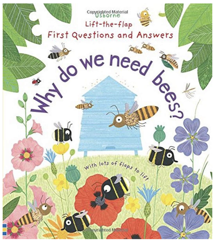 Usborne Lift-the-Flap First Questions and Answers Why Do We Need Bees? Hardcover