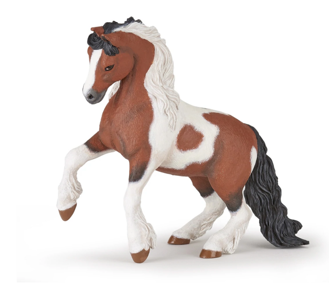 Papo Irish Cob
