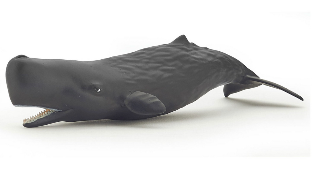 Papo France Sperm Whale Calf