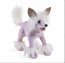 Load image into Gallery viewer, Folkmanis Chinese Chested Dog Puppet
