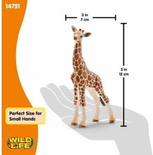 Laden Sie das Bild in den Galerie-Viewer, Schleich Giraffe Calf
