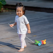 Load image into Gallery viewer, Plan Toys Rainbow Alligator
