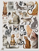 Load image into Gallery viewer, Crocodile Creek Popular Cat Breeds Puzzle 200 Piece

