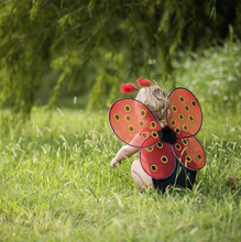 Load image into Gallery viewer, Great Pretenders Ladybug Wings &amp; Headband
