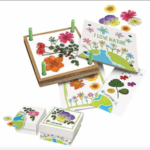 Load image into Gallery viewer, Green Creativity Pressed Flower Art
