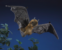 Load image into Gallery viewer, Folkmanis Fruit Bat
