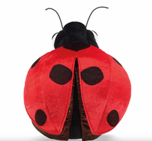 Laden Sie das Bild in den Galerie-Viewer, Folkmanis Ladybug Puppet
