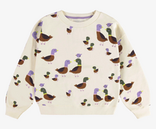 Load image into Gallery viewer, Souris Mini Cream Sweater With Duck Print In French Terry
