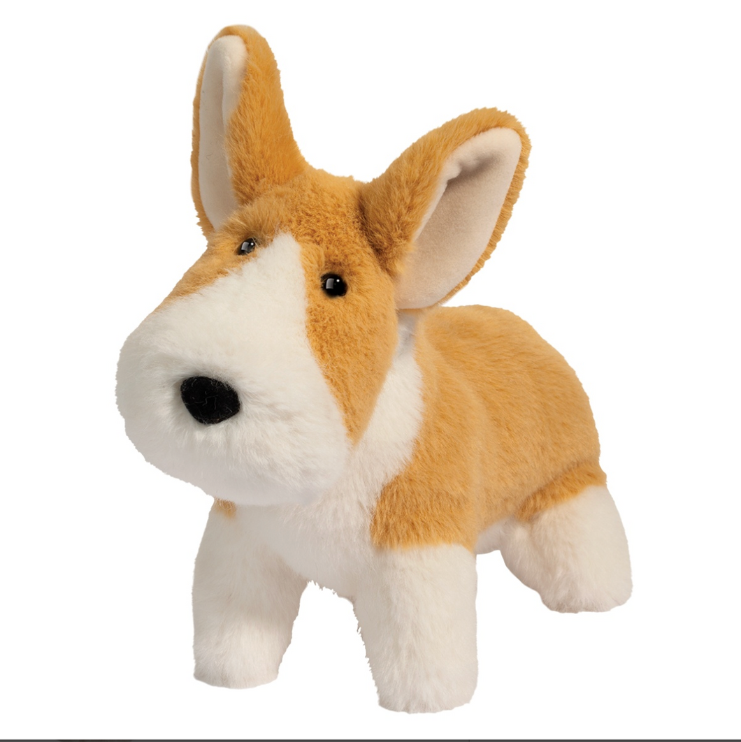 Douglas  Carl Corgi Muzzle
