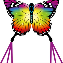 Load image into Gallery viewer, Ecoline Kids Rainbow Butterfly Kite with Dual 6 Ft Tails Beach Outdoor Toy
