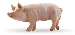 Papo Boar