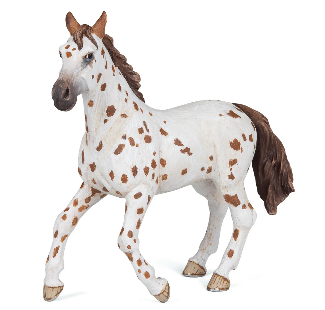 Papo France Brown Apoaloosa Mare