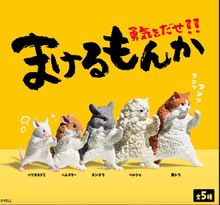 Load image into Gallery viewer, Kung Fu Cats Blind Box
