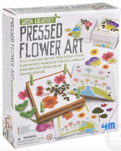 Load image into Gallery viewer, Green Creativity Pressed Flower Art
