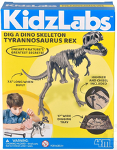 Laden Sie das Bild in den Galerie-Viewer, KidzLabs Grabe ein Dino Skelett Tyrannosaurus Rex

