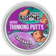 Load image into Gallery viewer, Crazy Aaron's Mini Thinking Putty Capybara
