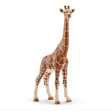 Load image into Gallery viewer, Schleich Giraffe Female
