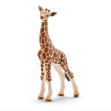 Laden Sie das Bild in den Galerie-Viewer, Schleich Giraffe Calf
