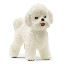 Laden Sie das Bild in den Galerie-Viewer, Shleich Bichon Frise
