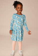 Load image into Gallery viewer, Tea Collection Long Sleeve Pocket Dress Squabble Of Seagulls Size 6-9m
