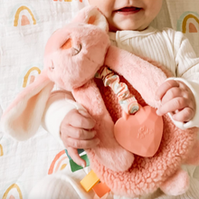 Load image into Gallery viewer, Itzy Ritzy Itzy Lovey Plush Ana the Bunny
