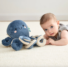 Load image into Gallery viewer, Itzy Ritzy Sweetie Snuggles Plush Ollie the Octopus
