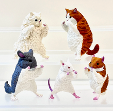 Load image into Gallery viewer, Kung Fu Cats Blind Box
